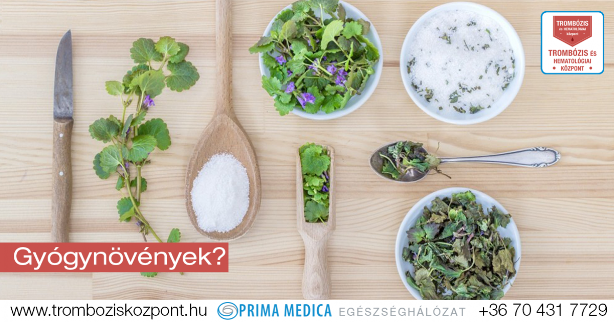 gyógynövényekkel való együttes kezelés)
