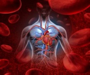 Hasi Aorta Aneurizma Capital Kardiologia Associates