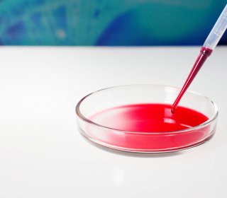 A menstruációs zavarok hátterében álló problémák