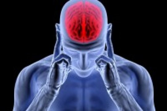 Megfelelő táplálkozással befolyásolható az érszűkület, a stroke, vagy szívinfarktus kialakulása