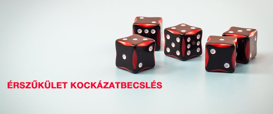 Érszűkület kockázatbecslés